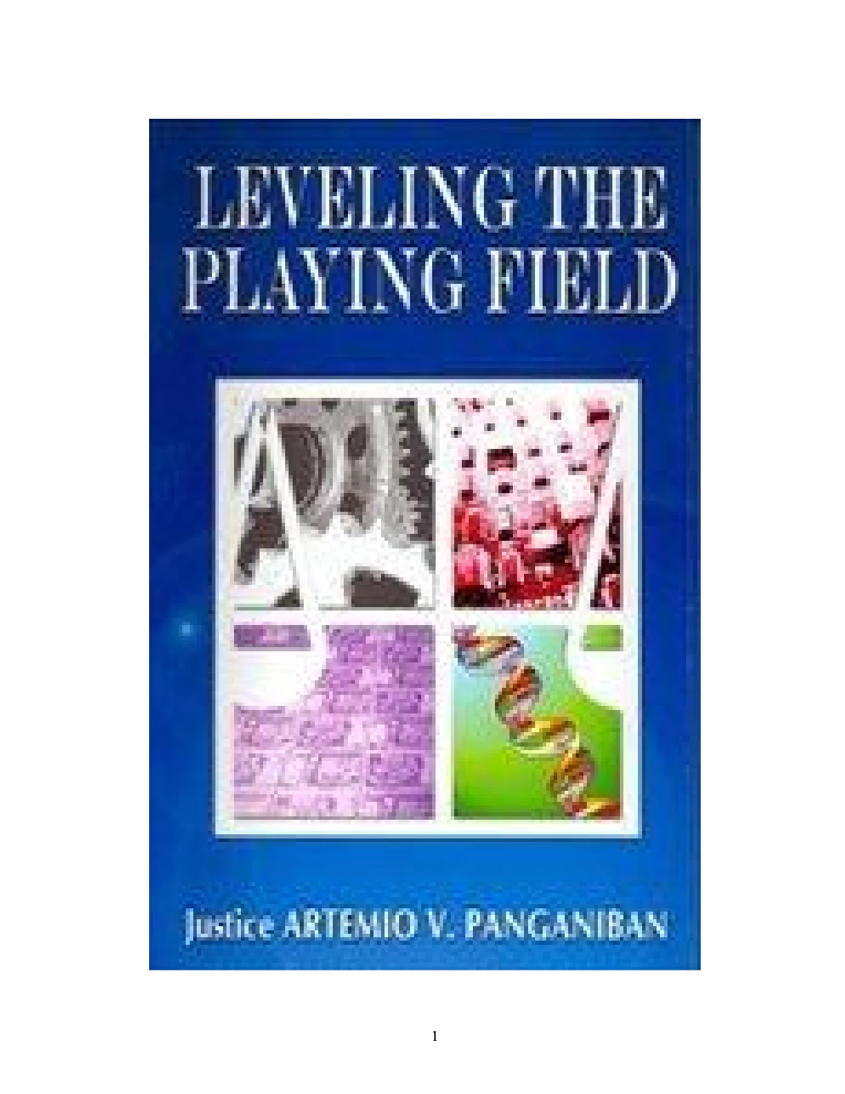 Cover of Leveling the Playing Field